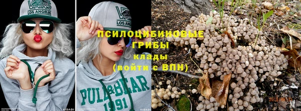 apvp Армянск