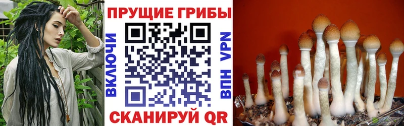 Галлюциногенные грибы прущие грибы Льгов